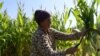 Tajikistan -- Guldasta Ghulomova, farmer, resident of Vose district, Khatlon region, 20Oct2020