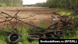 На этом месте планируется построить трассу из Москвы в Санкт-Петербург