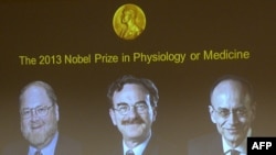 İsveç - Tibb üzrə Nobel mükafatının bu ilki qalibləri monitorda: soldan sağa: James E Rothman, Randy W Schekman, Thomas C Suedhof. Qaliblər mətbuat konfransında elan edilir, 7 oktyabr, 2013, Stokholm